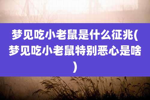 梦见吃小老鼠是什么征兆(梦见吃小老鼠特别恶心是啥)