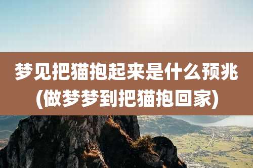 梦见把猫抱起来是什么预兆(做梦梦到把猫抱回家)
