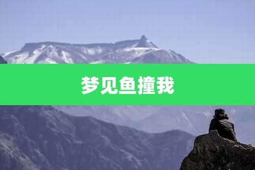 梦见鱼撞我