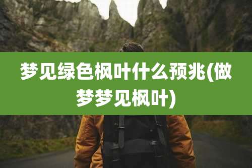 梦见绿色枫叶什么预兆(做梦梦见枫叶)