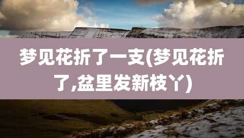 梦见花折了一支(梦见花折了,盆里发新枝丫)