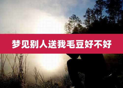 梦见别人送我毛豆好不好