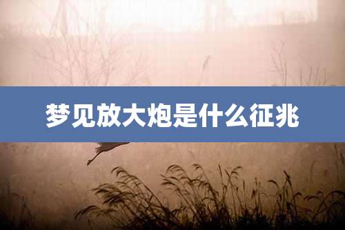 梦见放大炮是什么征兆
