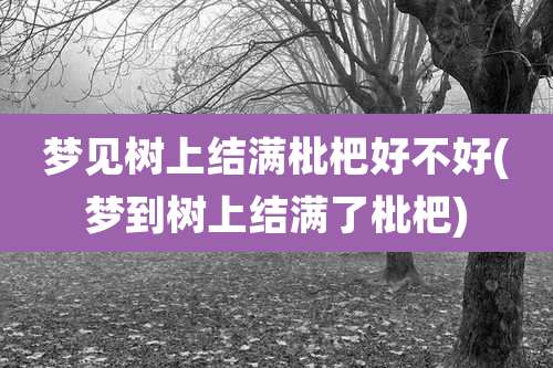 梦见树上结满枇杷好不好(梦到树上结满了枇杷)