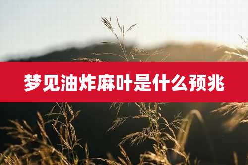 梦见油炸麻叶是什么预兆