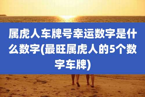 属虎人车牌号幸运数字是什么数字(最旺属虎人的5个数字车牌)