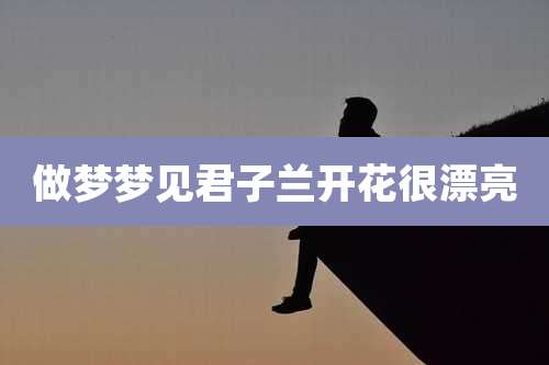 做梦梦见君子兰开花很漂亮