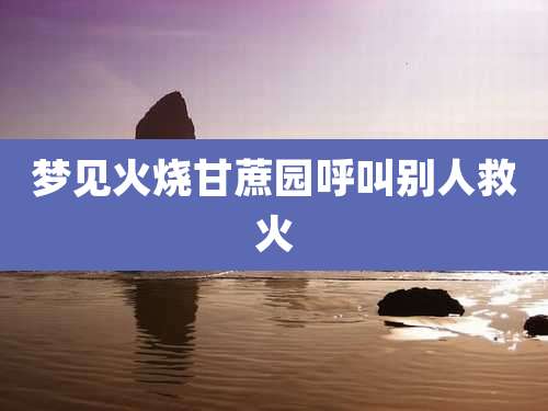 梦见火烧甘蔗园呼叫别人救火