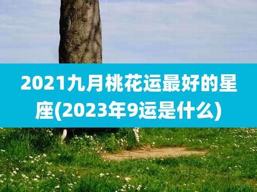 2021九月桃花运最好的星座(2023年9运是什么)