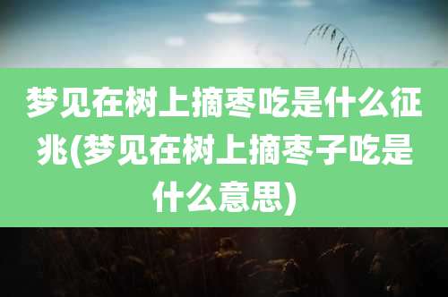 梦见在树上摘枣吃是什么征兆(梦见在树上摘枣子吃是什么意思)
