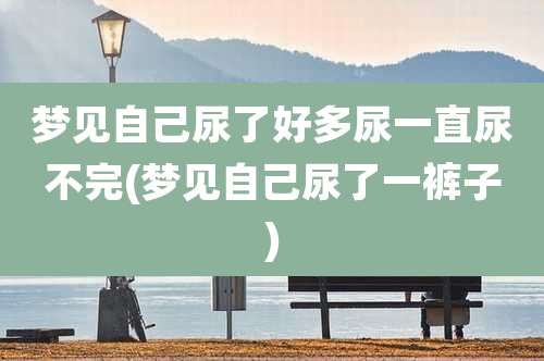 梦见自己尿了好多尿一直尿不完(梦见自己尿了一裤子)