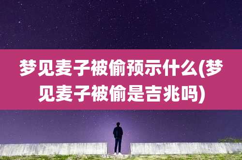 梦见麦子被偷预示什么(梦见麦子被偷是吉兆吗)