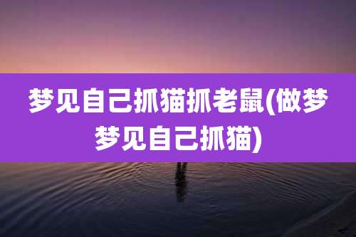 梦见自己抓猫抓老鼠(做梦梦见自己抓猫)