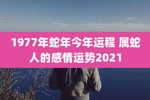 1977年蛇年今年运程 属蛇人的感情运势2021