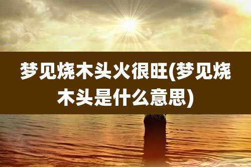 梦见烧木头火很旺(梦见烧木头是什么意思)