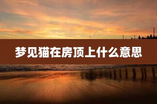 梦见猫在房顶上什么意思