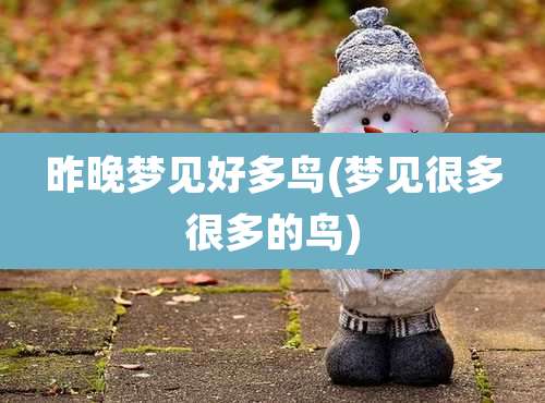 昨晚梦见好多鸟(梦见很多很多的鸟)