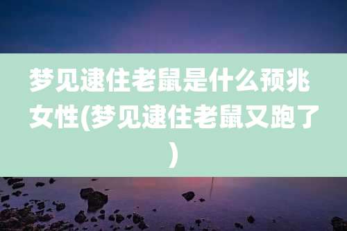 梦见逮住老鼠是什么预兆 女性(梦见逮住老鼠又跑了)