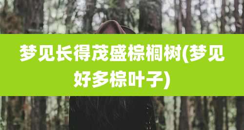 梦见长得茂盛棕榈树(梦见好多棕叶子)