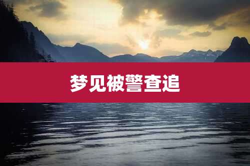 梦见被警查追