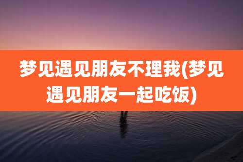 梦见遇见朋友不理我(梦见遇见朋友一起吃饭)