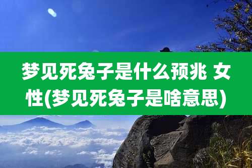 梦见死兔子是什么预兆 女性(梦见死兔子是啥意思)