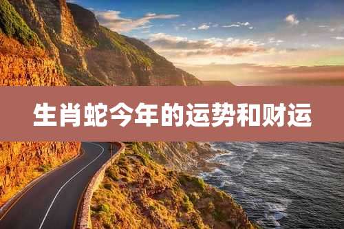 生肖蛇今年的运势和财运