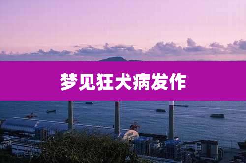 梦见狂犬病发作