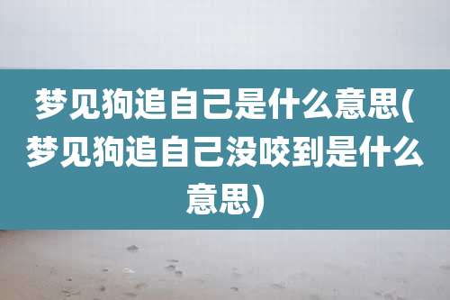 梦见狗追自己是什么意思(梦见狗追自己没咬到是什么意思)