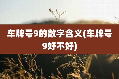 车牌号9的数字含义(车牌号9好不好)