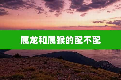 属龙和属猴的配不配