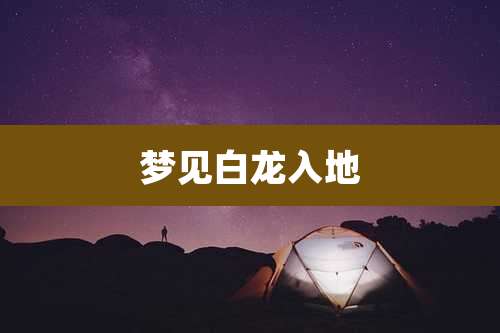 梦见白龙入地