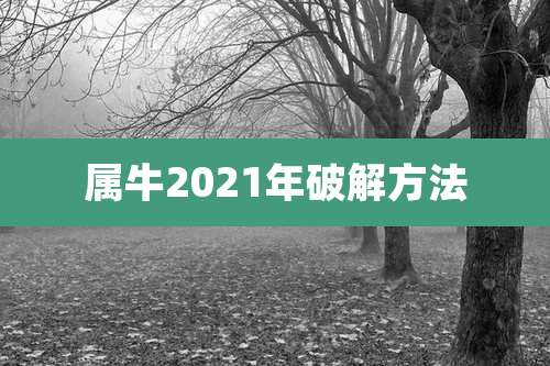 属牛2021年破解方法