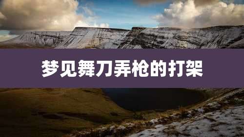 梦见舞刀弄枪的打架