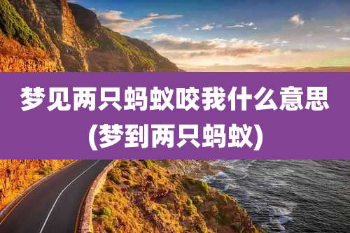 梦见两只蚂蚁咬我什么意思(梦到两只蚂蚁)