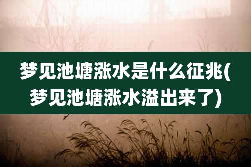 梦见池塘涨水是什么征兆(梦见池塘涨水溢出来了)