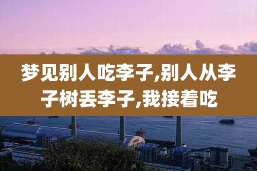 梦见别人吃李子,别人从李子树丢李子,我接着吃