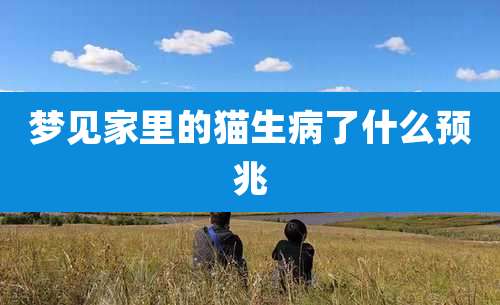 梦见家里的猫生病了什么预兆