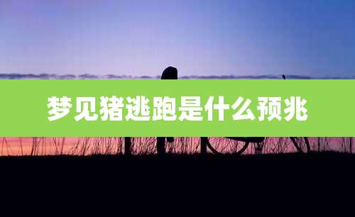 梦见猪逃跑是什么预兆