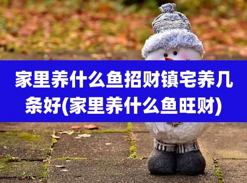 家里养什么鱼招财镇宅养几条好(家里养什么鱼旺财)