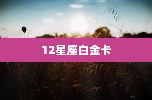 12星座白金卡