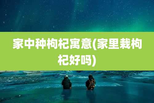 家中种枸杞寓意(家里栽枸杞好吗)