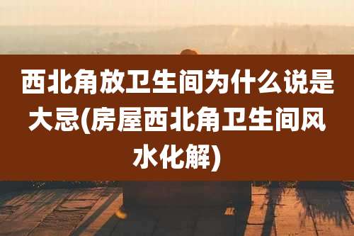 西北角放卫生间为什么说是大忌(房屋西北角卫生间风水化解)