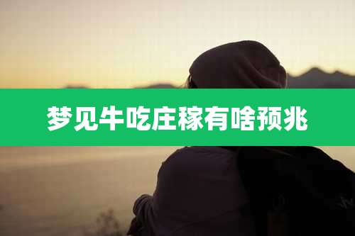 梦见牛吃庄稼有啥预兆