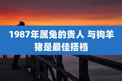 1987年属兔的贵人 与狗羊猪是最佳搭档