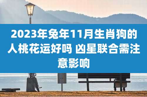 2023年兔年11月生肖狗的人桃花运好吗 凶星联合需注意影响