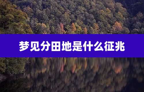 梦见分田地是什么征兆