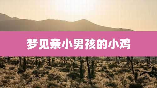 梦见亲小男孩的小鸡