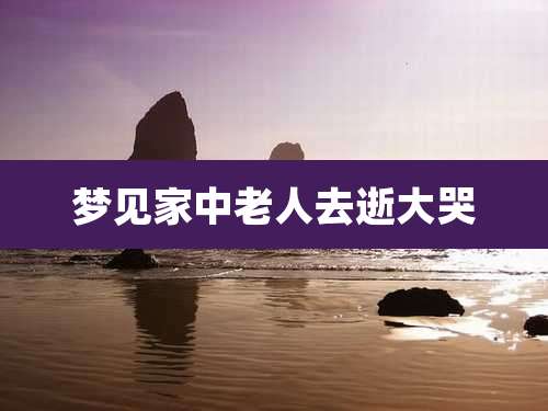 梦见家中老人去逝大哭