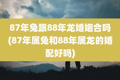 87年兔跟88年龙婚姻合吗(87年属兔和88年属龙的婚配好吗)